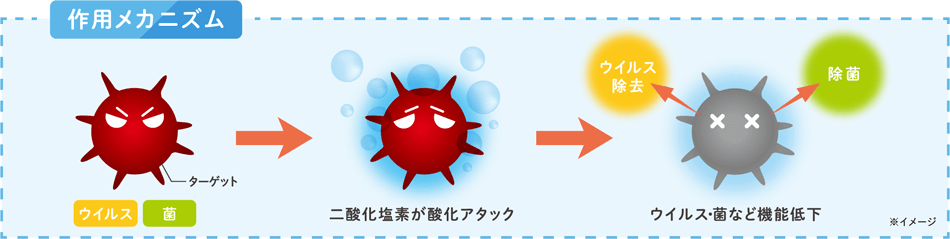 作用のメカニズム