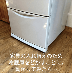 家具の入れ替えのため冷蔵庫をどかすことに。動かしてみたら・・・・